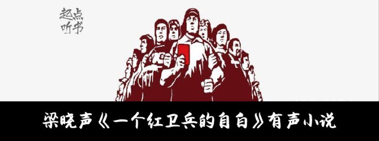 梁晓声《一个红卫兵的自白》全44集